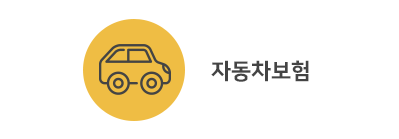 자동차보험